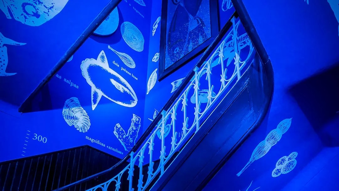 Staircase with marine life illustrations at Vasco da Gama Aquarium, Lisbon.
