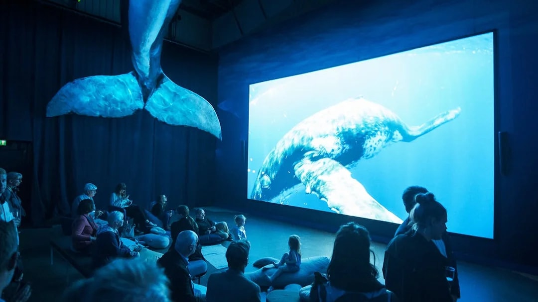 Visitors watching whale exhibit at Whales Museum, Iceland.