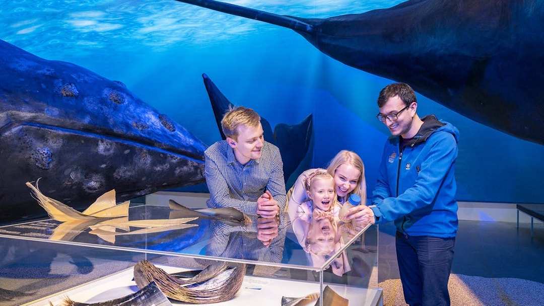 Family exploring whale exhibits at Whales Museum, Iceland.