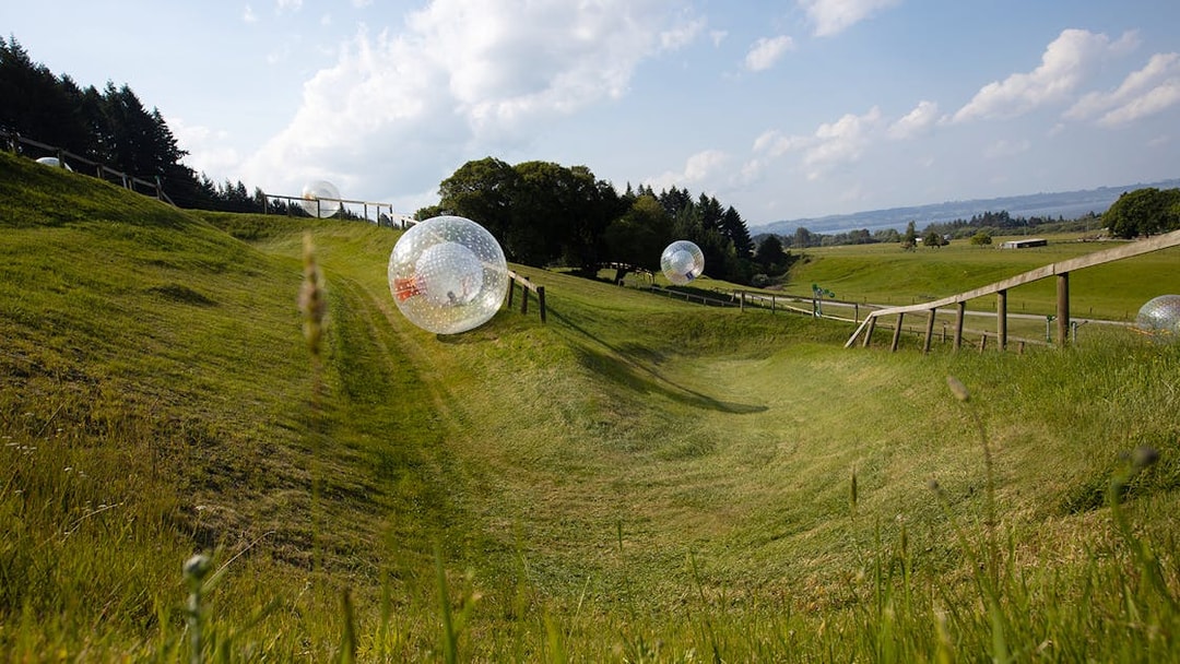 Zorb balls rolling down a grassy hill in a countryside setting.
