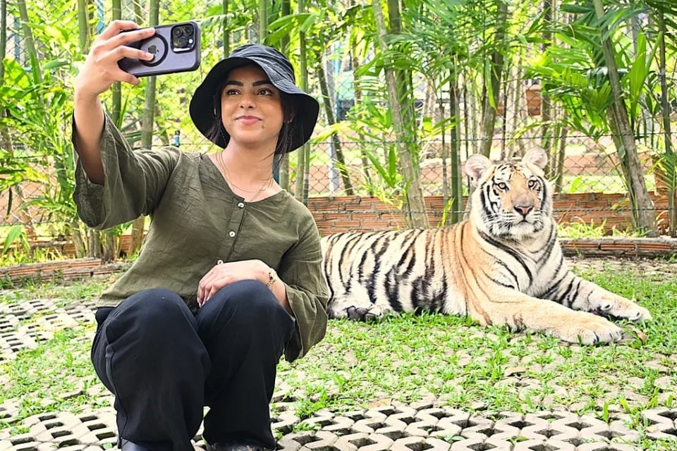 Tiger Kingdom in Chiang Mai | Thailand