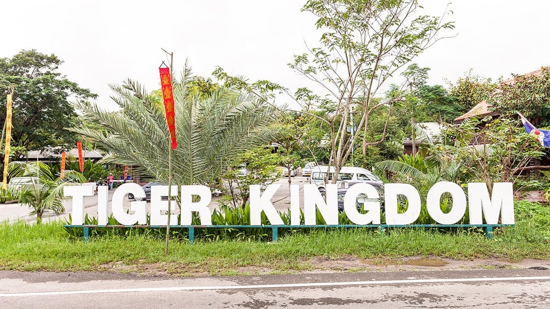 Tiger Kingdom entrance sign surrounded by greenery and flags.