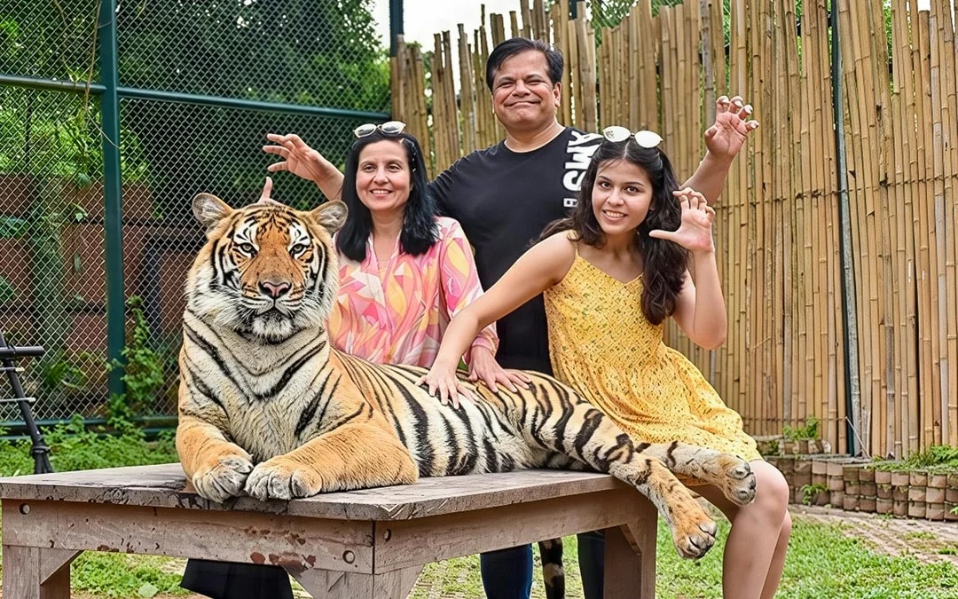 Tiger Kingdom Tickets with Tiger Play Packages Image 3