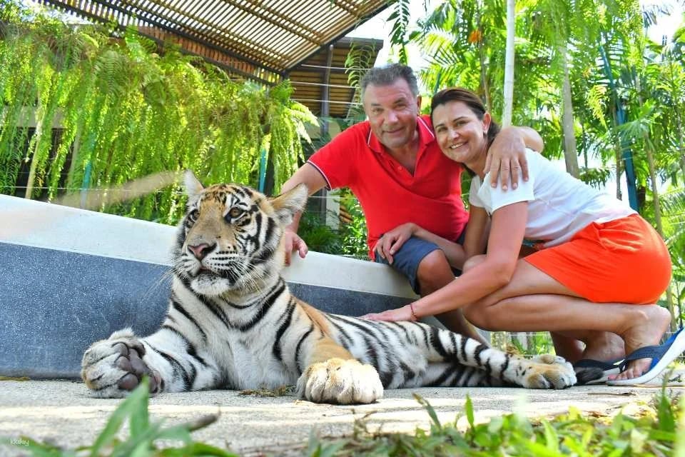 Tiger Park Big Buddha Phuket | Thailand