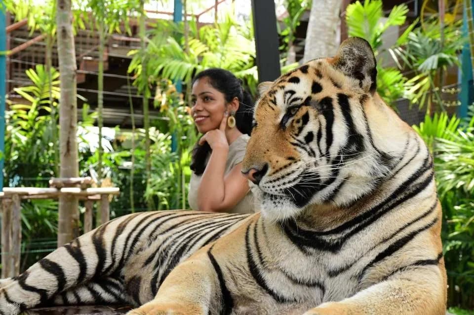 Tiger Park Kathu Phuket | Thailand
