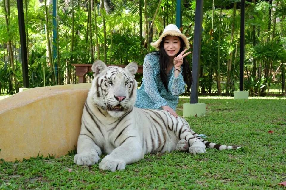 Tiger Park Kathu Phuket | Thailand