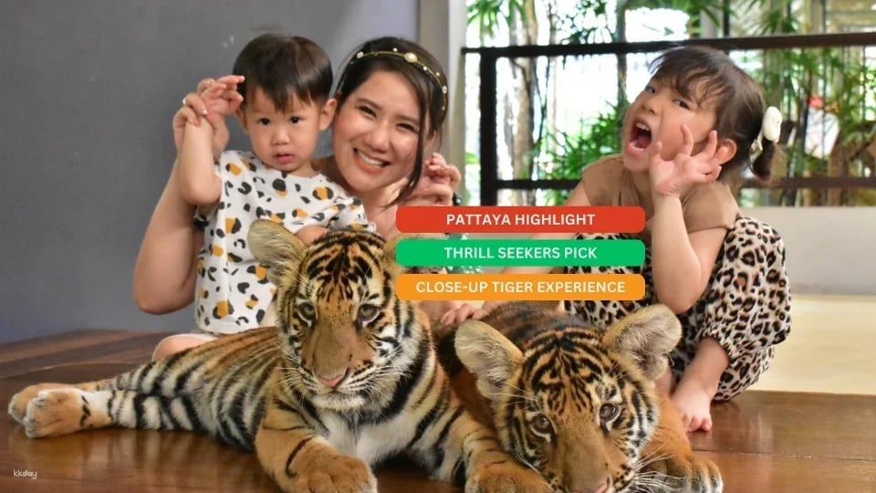 Tiger Park Pattaya Admission Ticket | Thailand