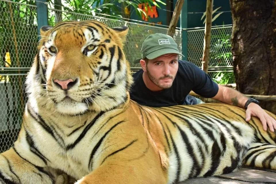 Tiger Park Pattaya Admission Ticket | Thailand