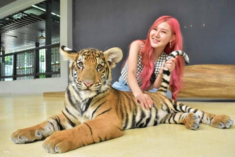 Tiger Park Pattaya Admission Ticket | Thailand