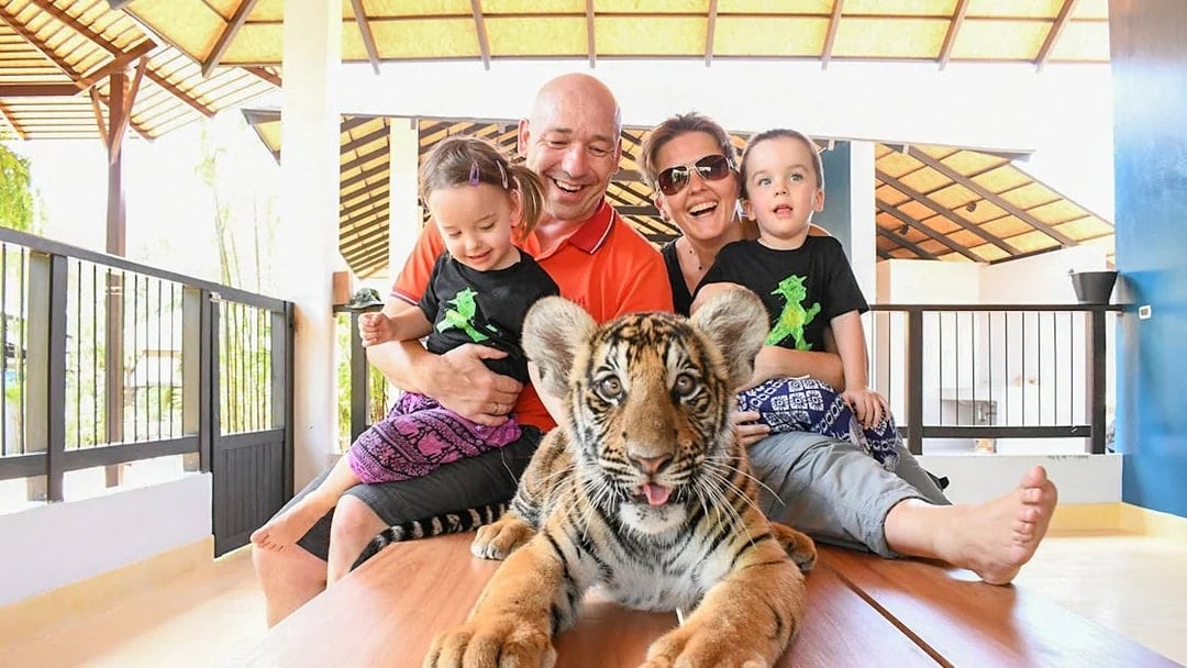 Tourists interacting with a tiger cub at Tiger Park Pattaya.