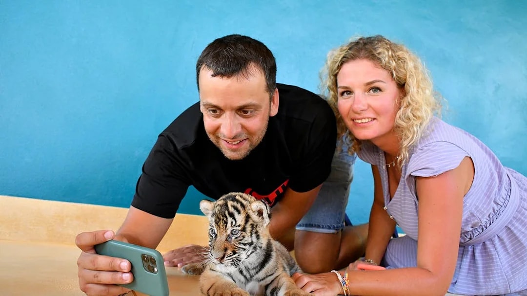 Visitors taking a selfie with a tiger cub at Tiger Park Pattaya.
