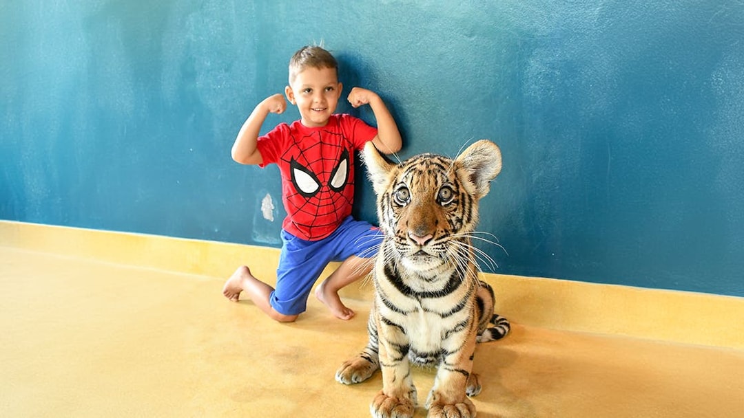 Child posing with tiger cub at Tiger Park Pattaya.