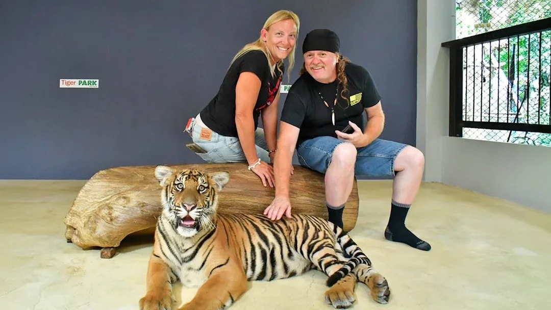 Visitors interacting with a tiger at Tiger Park Pattaya.
