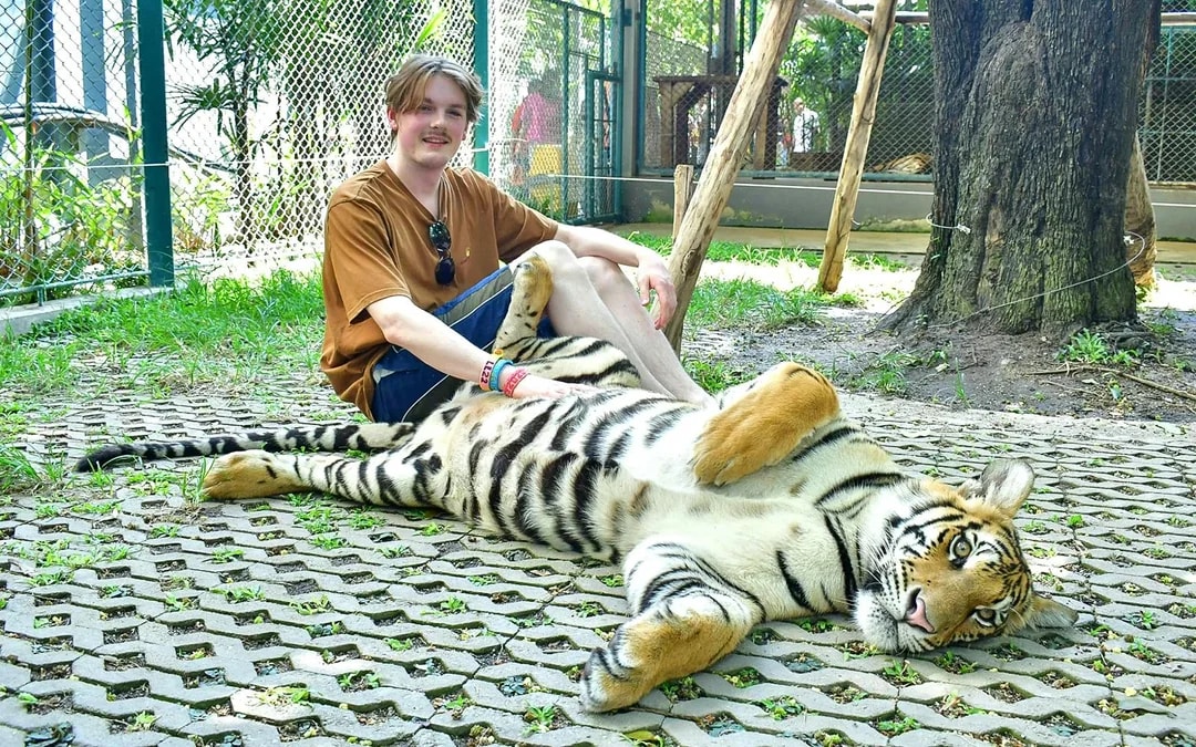 Tiger Park Tickets: Non-Thai Residents Image 7