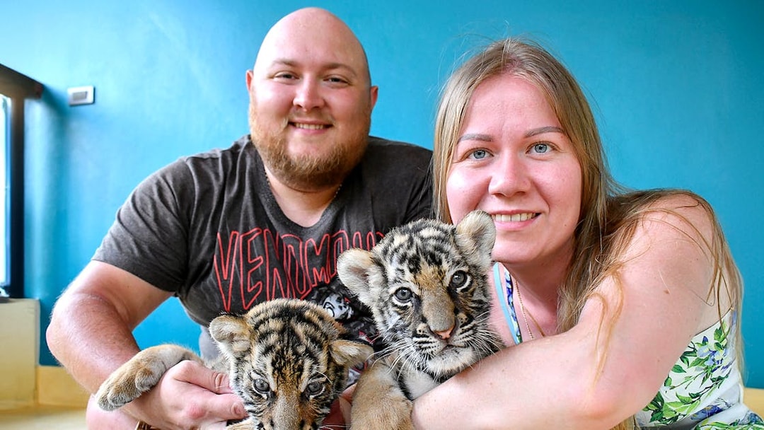Visitors interacting with tiger cubs at Tiger Park, Thailand.