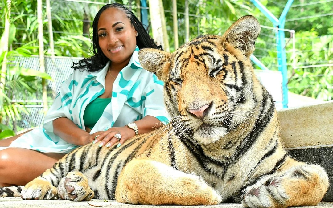 Tiger Park Tickets with Tiger Interactions Image 6