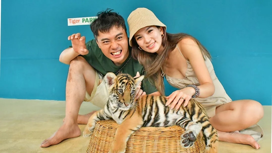 Visitors interacting with a tiger cub at Tiger Park Pattaya.