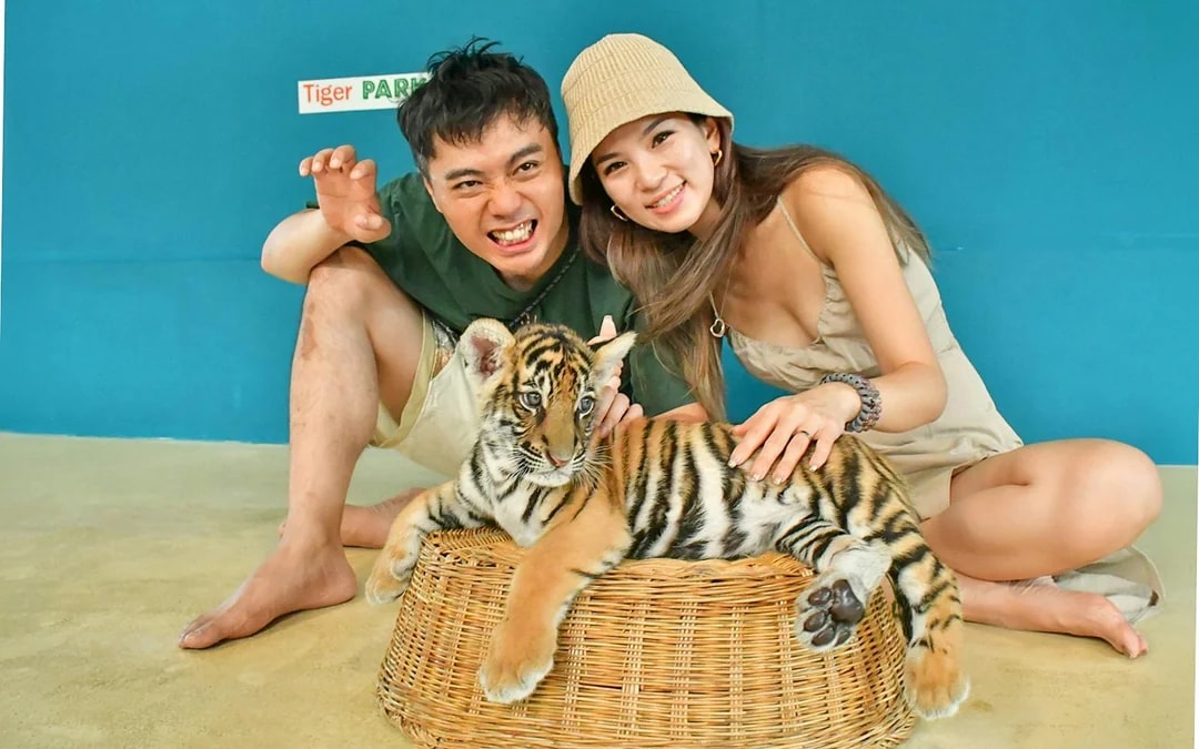 Tiger Park Tickets with Tiger Interactions Image 8
