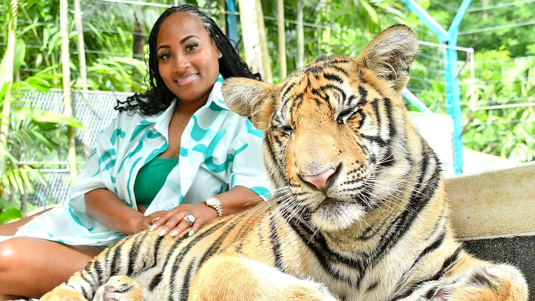 Person interacting with a tiger at Tiger Park, surrounded by lush greenery.