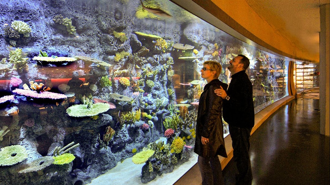 Visitors observing a large aquarium at Tivoli Gardens, Copenhagen.