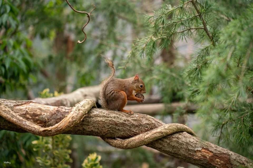 Tochigi, Japan | Nasu Animal Kingdom E-Ticket Reservation [100 yen discount off the local price!]