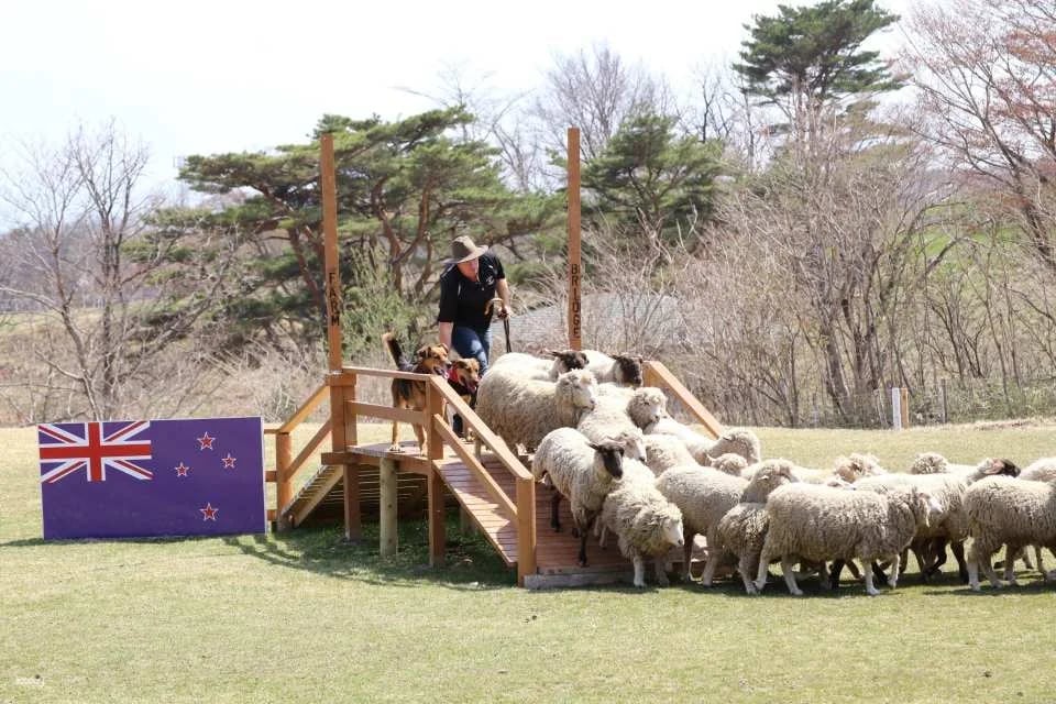 Tochigi, Japan | Nasu Animal Kingdom E-Ticket Reservation [100 yen discount off the local price!]