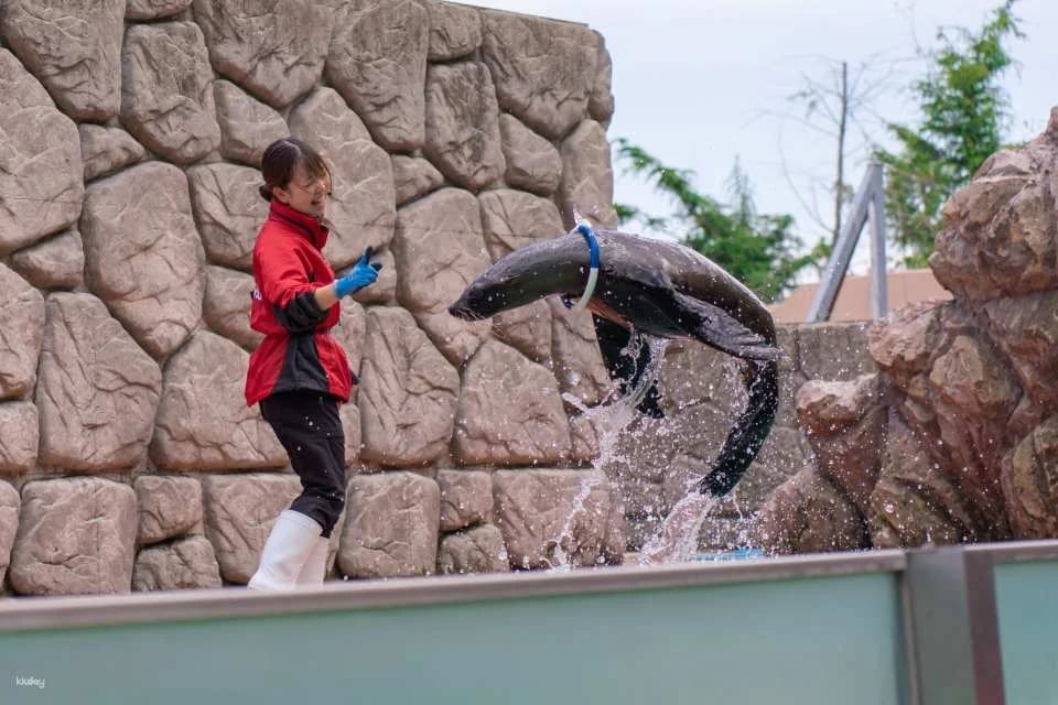 Tochigi, Japan | Nasu Animal Kingdom E-Ticket Reservation [100 yen discount off the local price!]