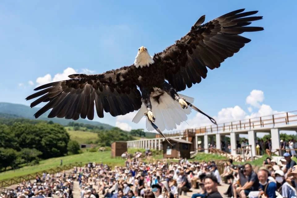 Tochigi, Japan | Nasu Animal Kingdom E-Ticket Reservation [100 yen discount off the local price!]