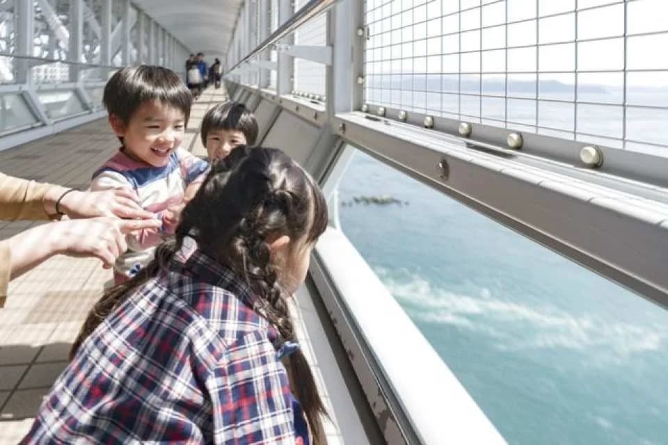 Tokushima Prefectural Uzu-no-Michi Walkway & Onaruto Bridge Eddy Hall Combo or Single Ticket｜Naruto Tokushima
