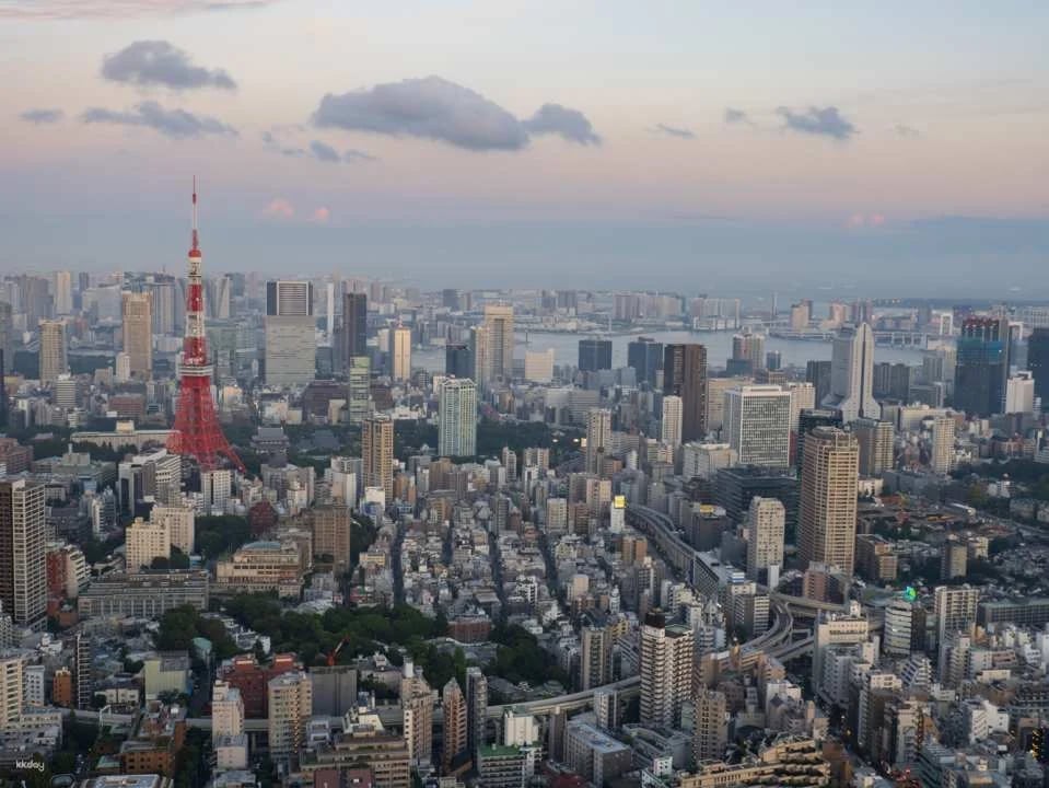 Tokyo City View Ticket at Roppongi Hills Mori Tower (Observatory Deck) | Japan