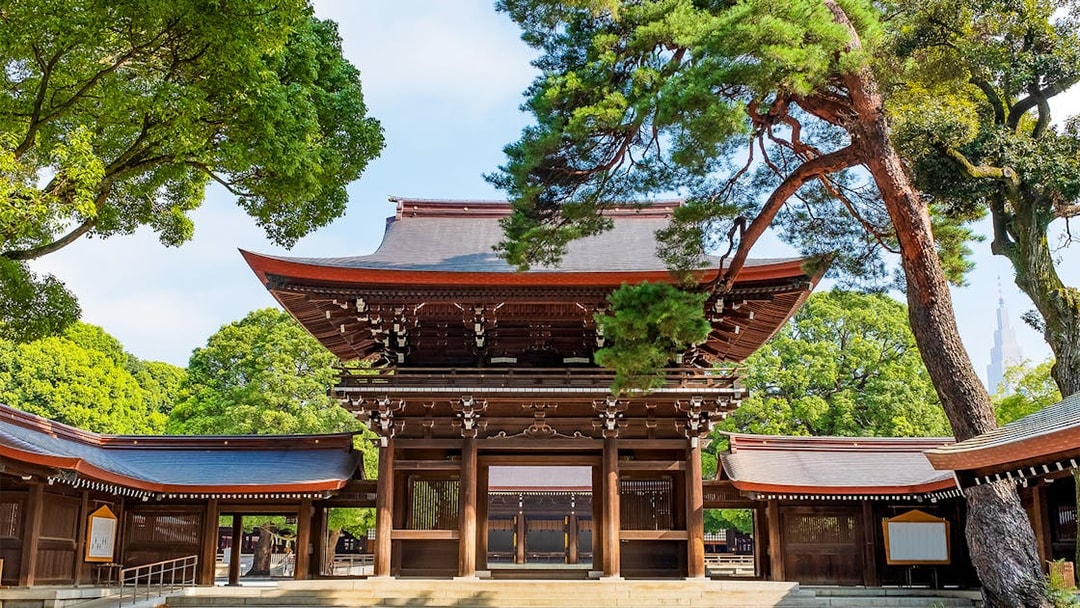 Meiji Shrine entrance surrounded by trees in Tokyo.