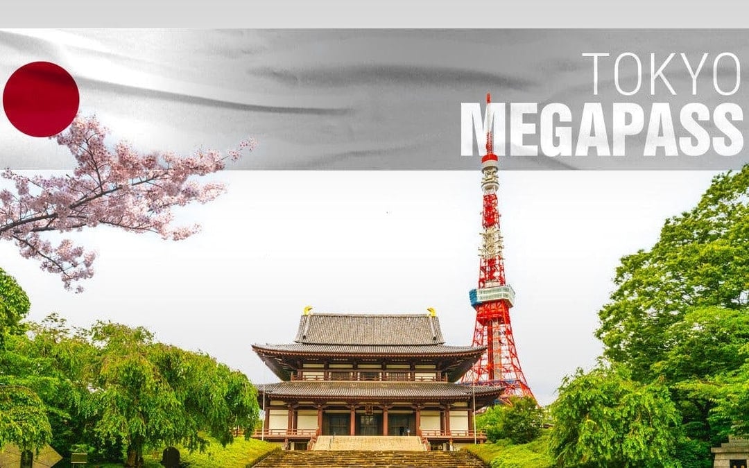 Tokyo MegaPass: Top Attractions, Tokyo Tower & Disneyland
