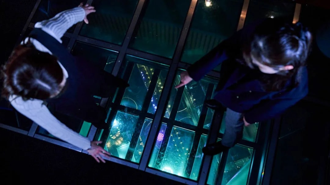 Visitors standing on glass floor at Tembo Deck, night view below.
