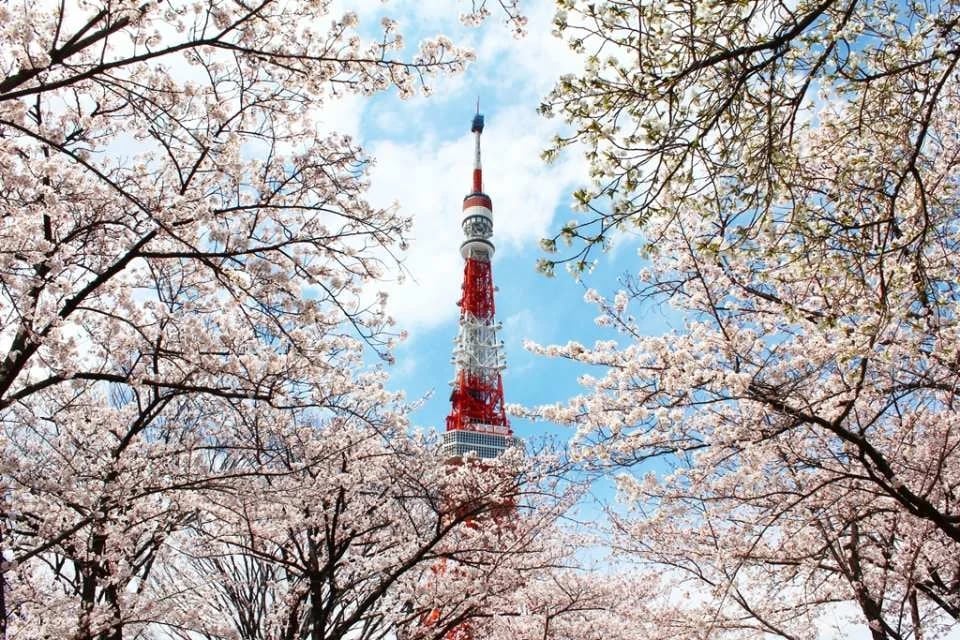 Tokyo Tower Main Observatory Ticket