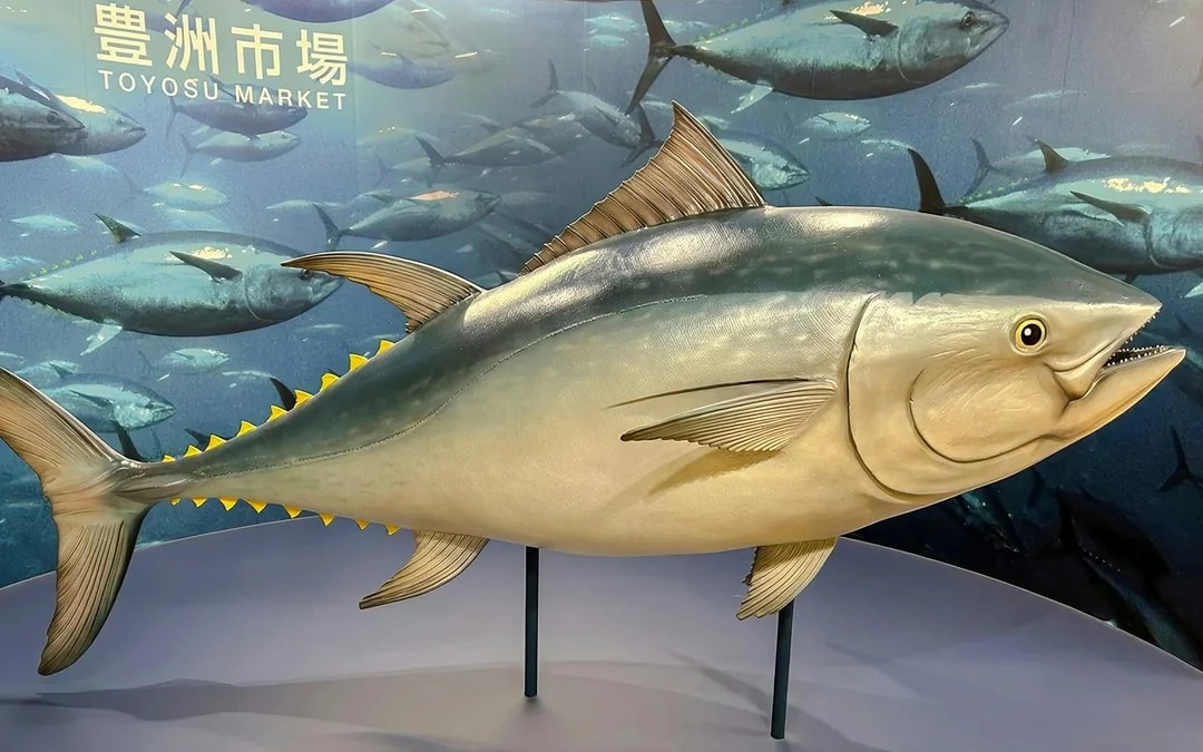 Tokyo: Toyosu Tuna Auction and Tsukiji Market Guided Walking Tour Image 6