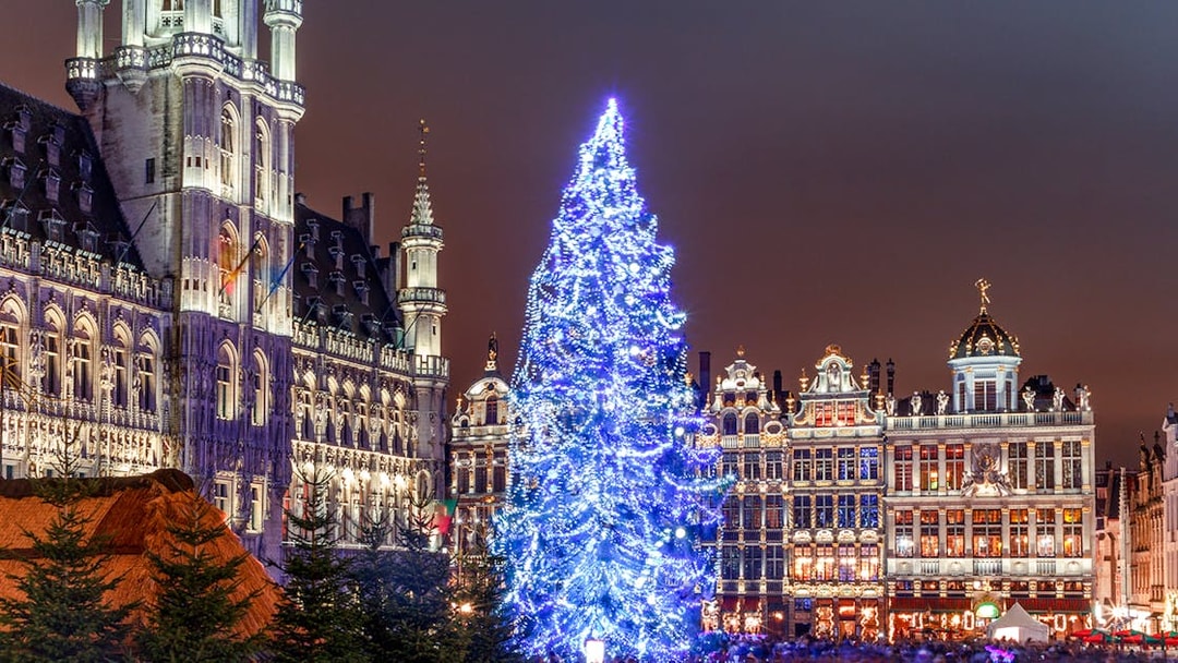 Grand Place Brussels with illuminated Christmas tree during lights tour.