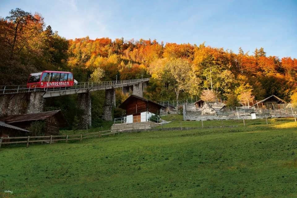 Harder Kulm Funicular: Top of Interlaken Ticket | Switzerland
