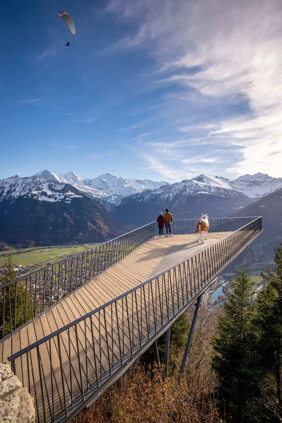 Harder Kulm Funicular: Top of Interlaken Ticket | Switzerland