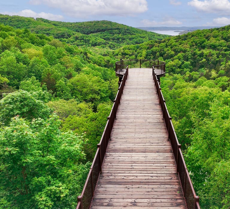 Branson: Top of the Rock Ozarks Heritage Preserve (Minneapolis)