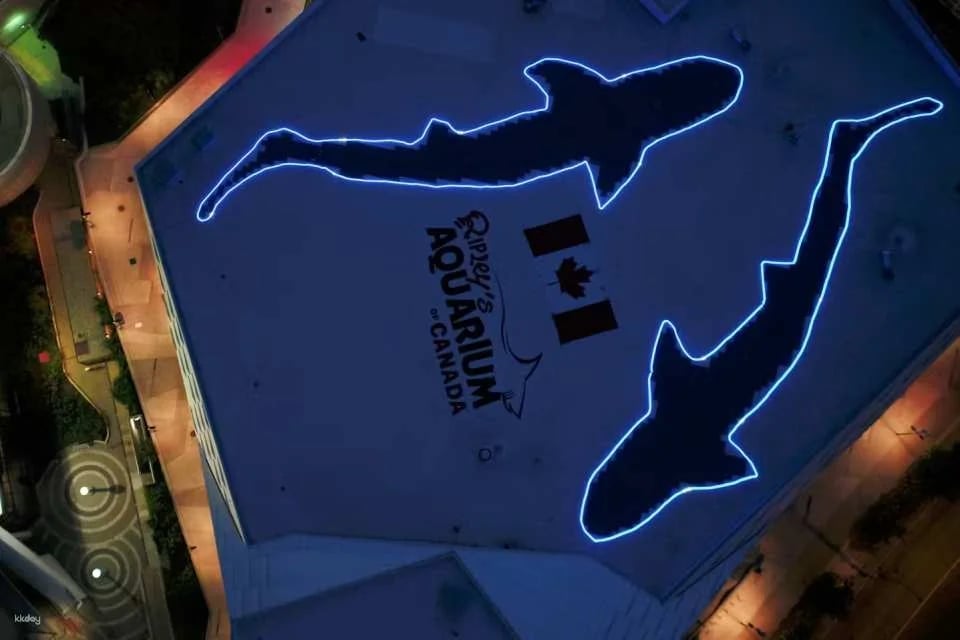 Toronto, Canada | Ripley's Aquarium Tickets