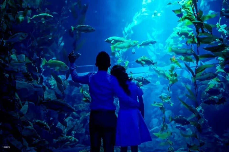 Toronto, Canada | Ripley's Aquarium Tickets