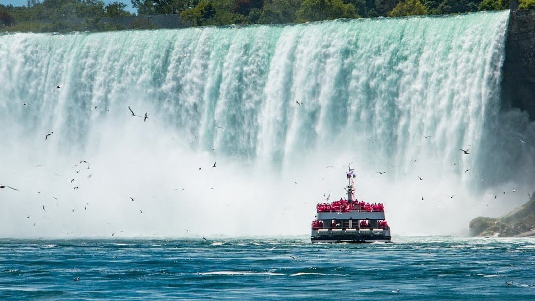 Boat approaching Niagara Falls surrounded by mist and birds.