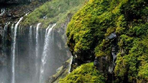 Toshogu Kegon Falls Lake Chuzenji one-day tour