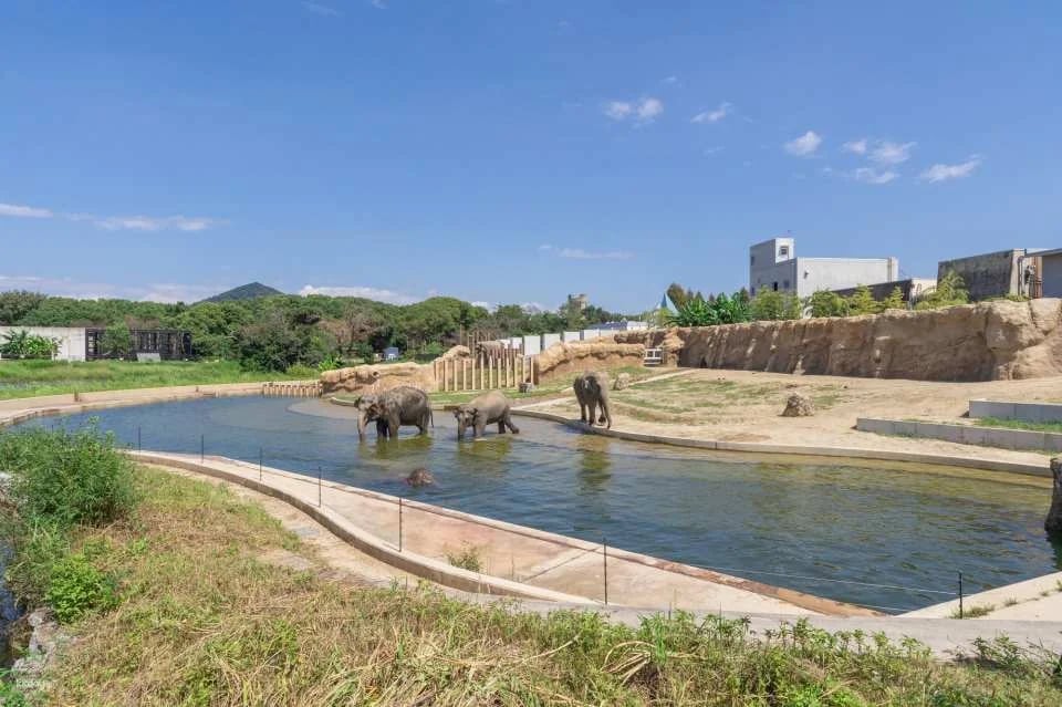 Toyohashi Zoo & Botanical Park (Non-Hoi Park) Ticket | Official Retailer | Aichi