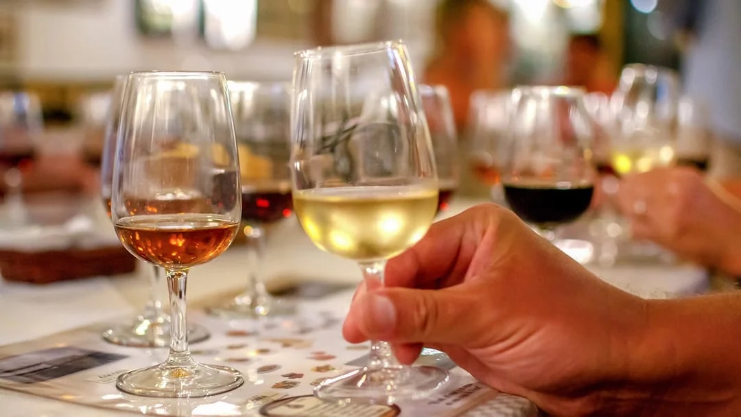 Wine glasses on a table during a tasting session in Plastovo.