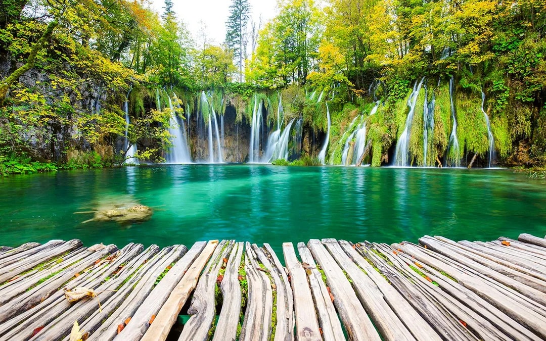 From Trogir: Full-Day Trip to Plitvice Lakes National Park Image 4