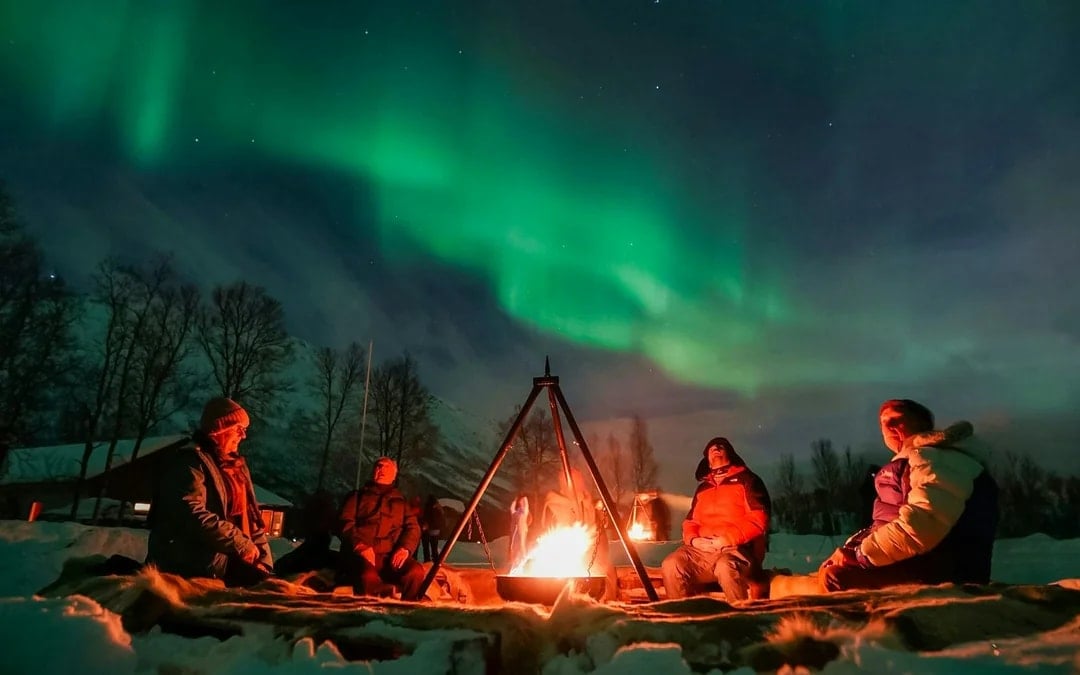 Tromsø: Northern Light Aurora Chase with Guide by Big Bus Image 1