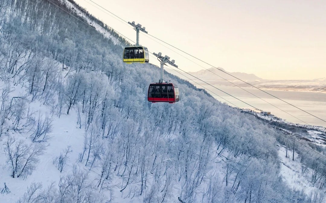 Tromso: Fjellheisen Cable Car Round-Trip Tickets