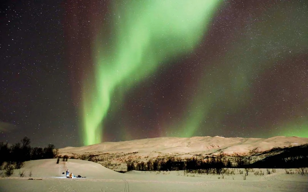 Tromso: Northern Lights, Reindeer and Sami Experiences Image 6