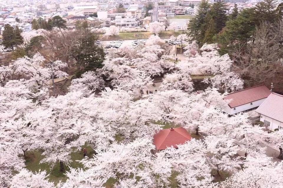 [Instant Booking] Tsuruga Castle Admission Ticket (Castle Tower & Rinkaku Teahouse) in Fukushima | Japan